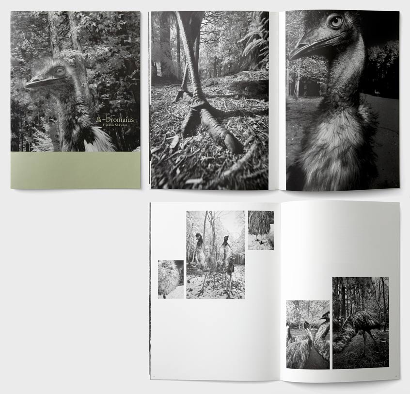 櫻井尚子写真集　鳥-Dromaius